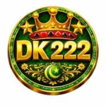 DK333 Game