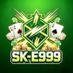 SKE999 GAME