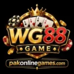 WG88 Game
